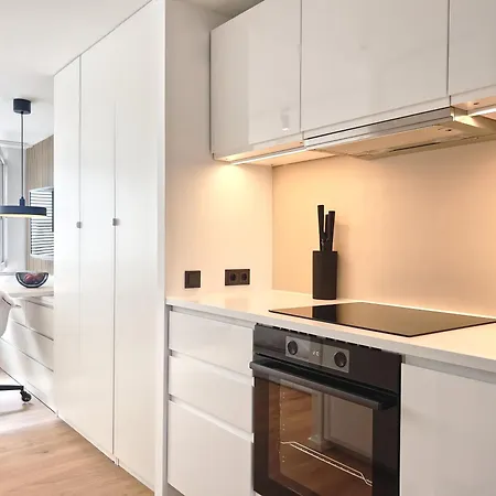 Daire Seetraum Somma Seerheinblick Altstadt Seltenheit