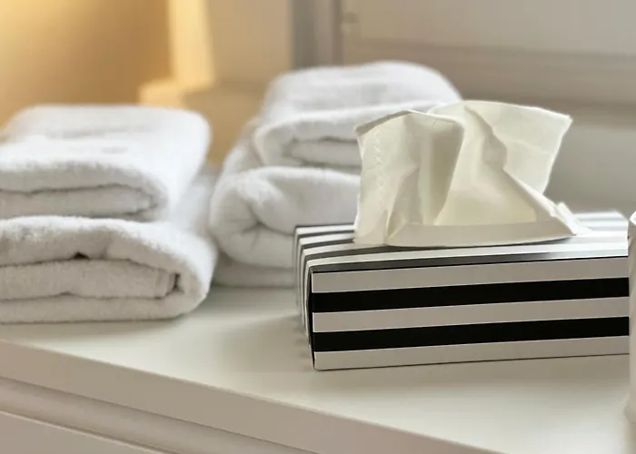 Seetraum Somma Seerheinblick Altstadt Seltenheit Lägenhet Konstanz